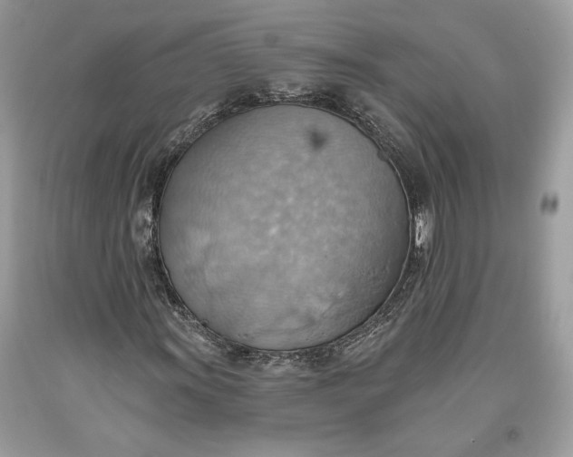 X0000093521011200710261214