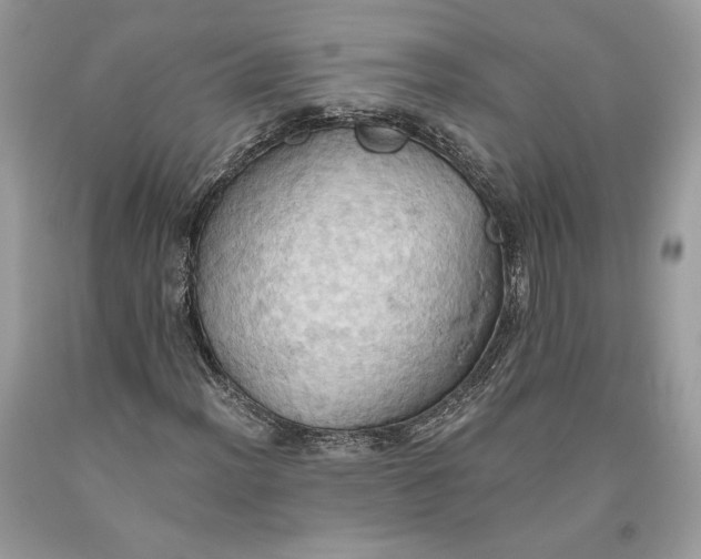 X0000093521012200710261214