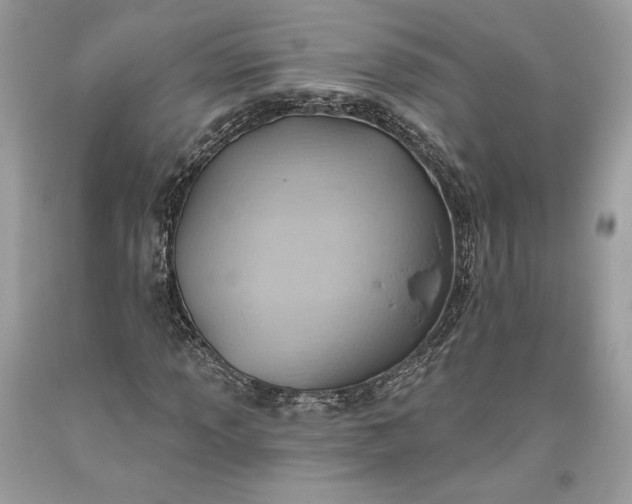 X0000093521013200710261215