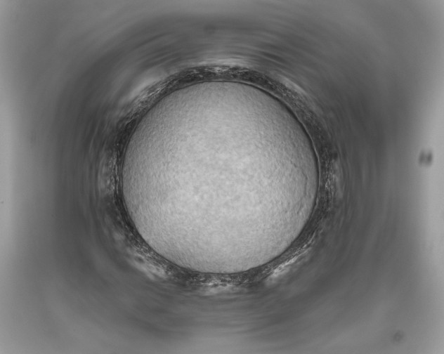 X0000093521014200710261215