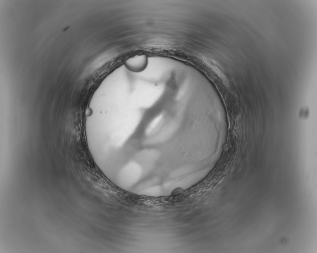 X0000093521015200710261215