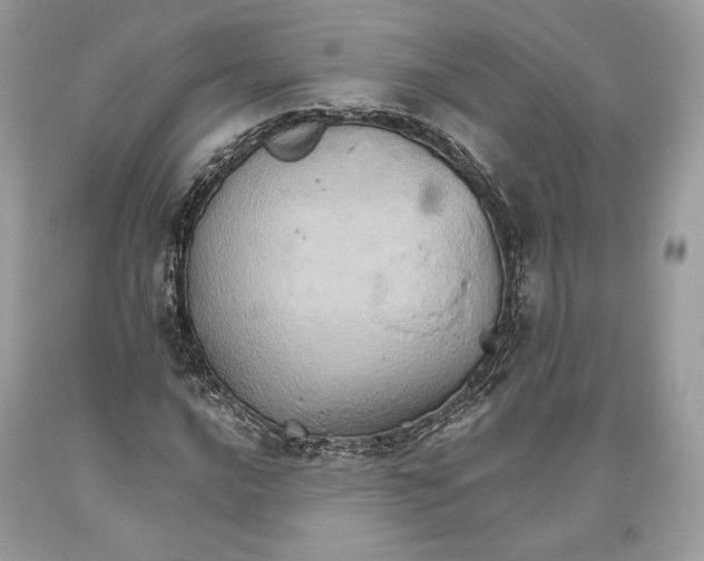 X0000093521016200710261215