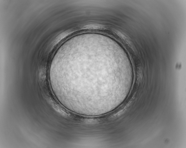 X0000093521017200710261215