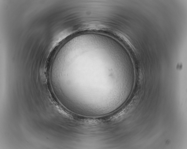 X0000093521018200710261215