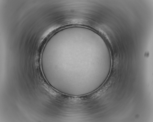 X0000093521019200710261215