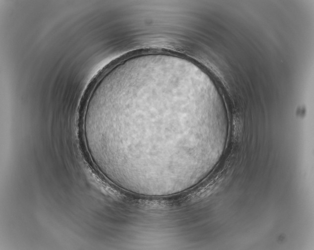 X0000093521020200710261215