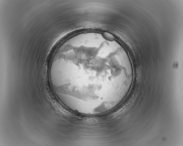 X0000093521021200710261215