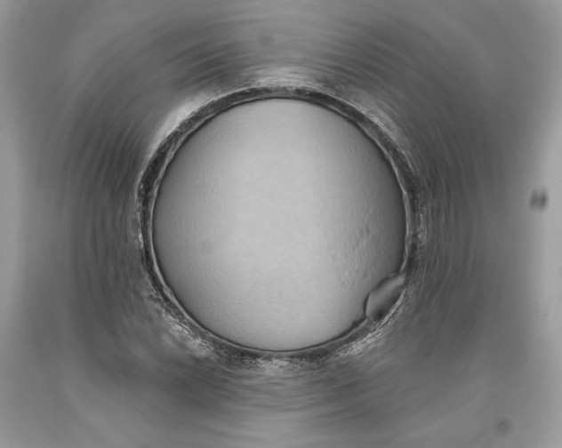 X0000093521022200710261215