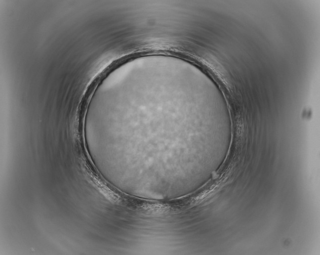 X0000093521023200710261215