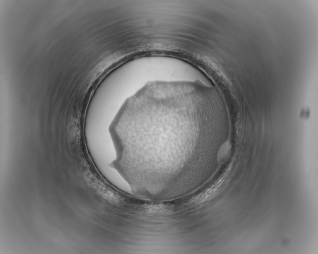 X0000093521025200710261215