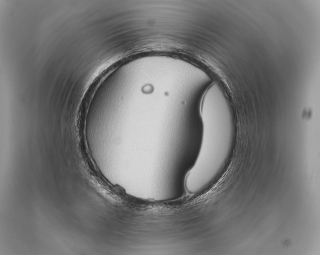 X0000093521026200710261215