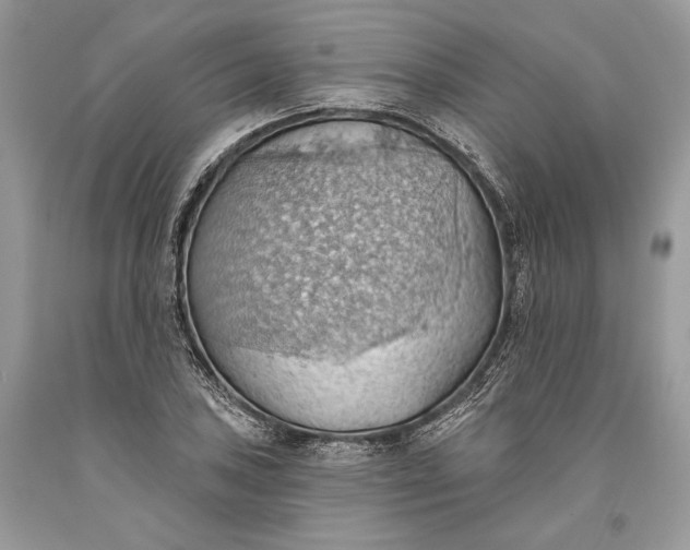 X0000093521027200710261215