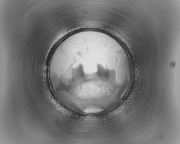 X0000093521029200710261215