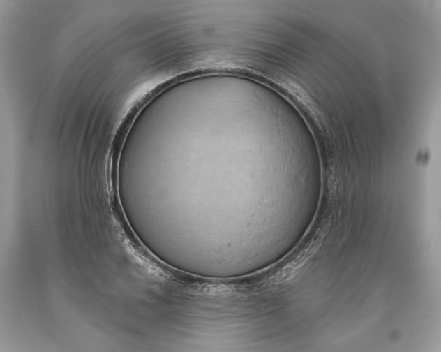 X0000093521030200710261215