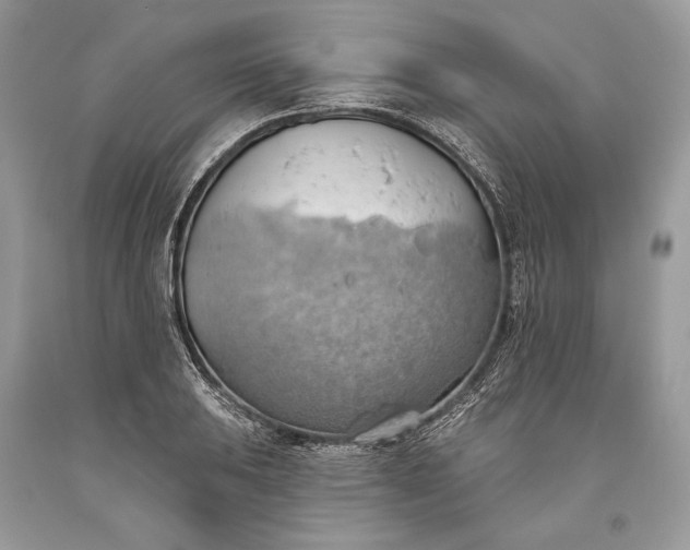 X0000093521031200710261215