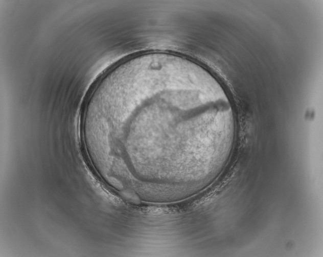 X0000093521032200710261215