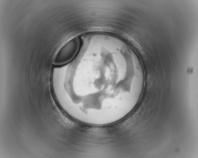 X0000093521033200710261215