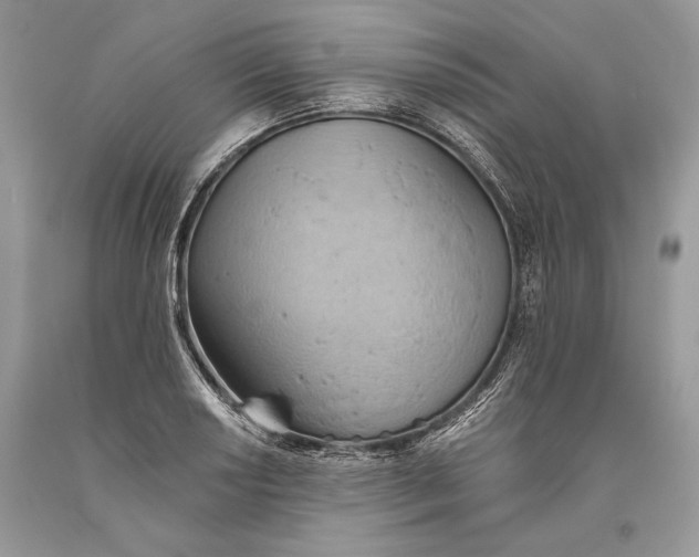 X0000093521034200710261215