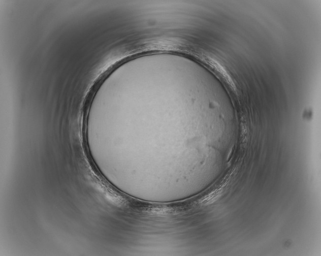 X0000093521035200710261215