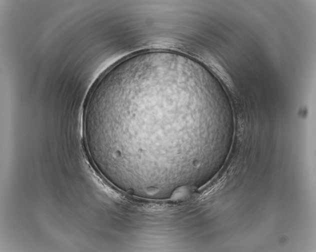 X0000093521036200710261215