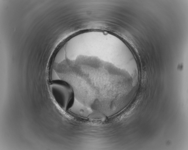 X0000093521037200710261215