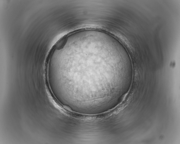 X0000093521038200710261215