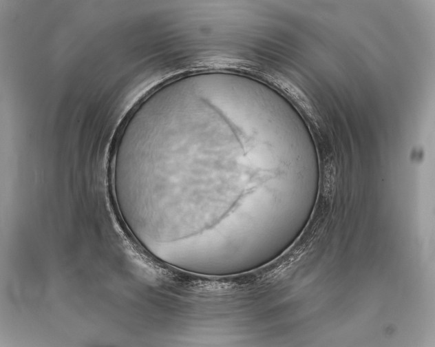 X0000093521039200710261215