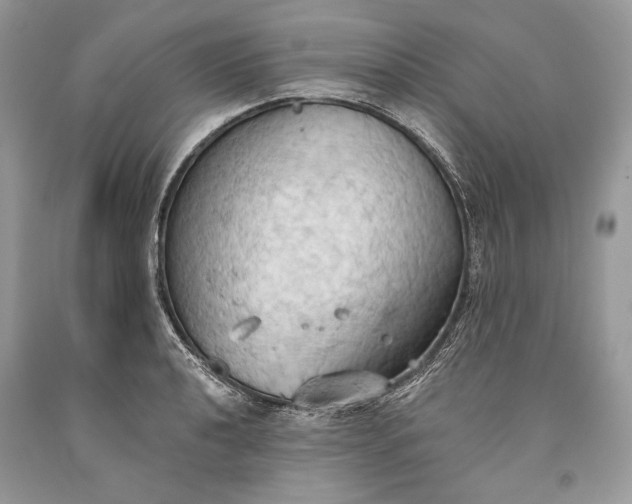 X0000093521040200710261215