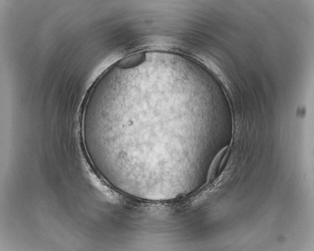 X0000093521042200710261215