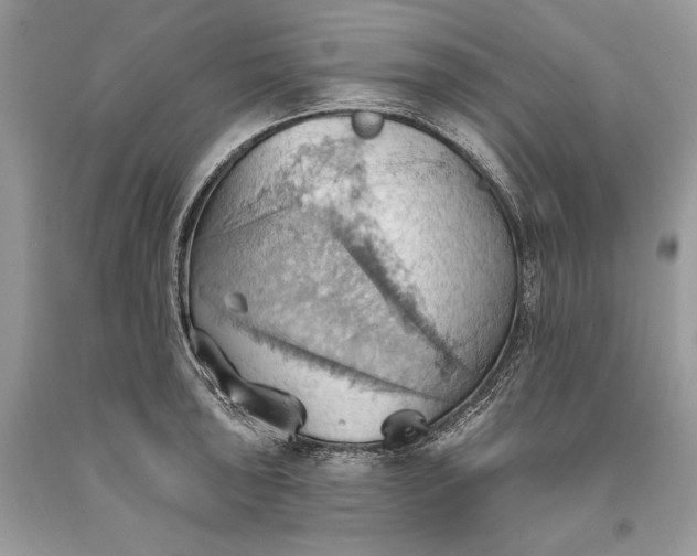 X0000093521043200710261215