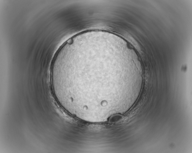 X0000093521044200710261215