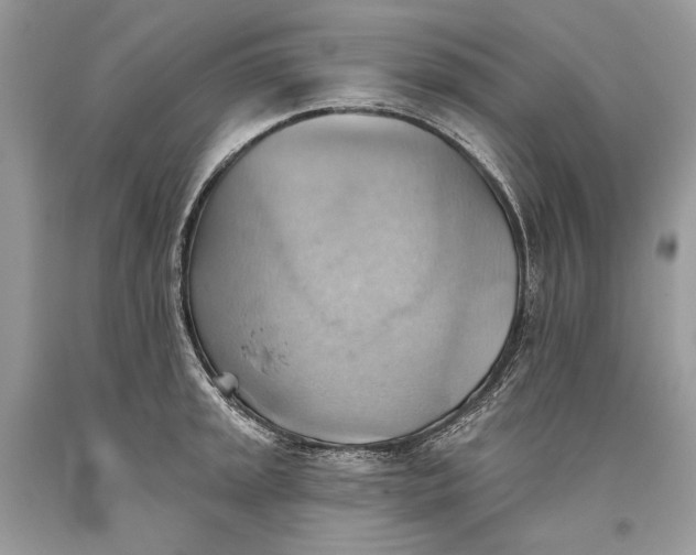 X0000093521045200710261215