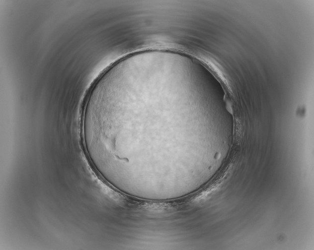 X0000093521046200710261215