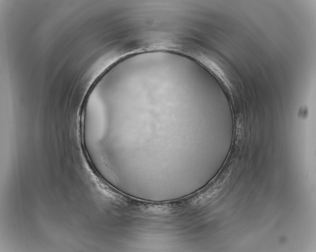 X0000093521047200710261215