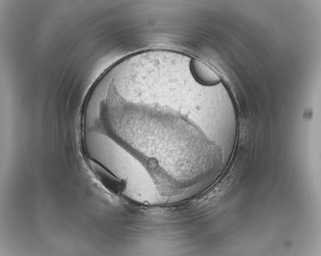 X0000093521048200710261215