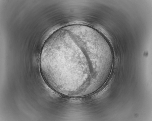 X0000093521049200710261215