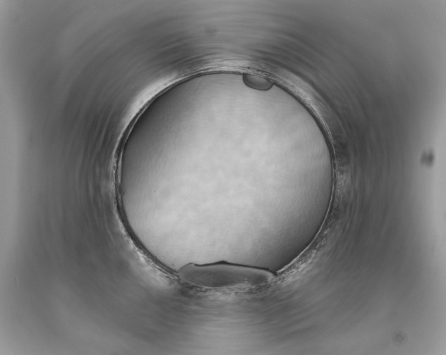 X0000093521050200710261215