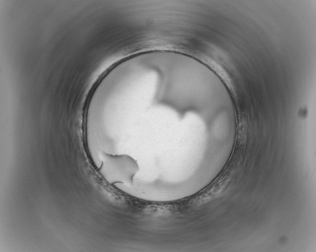 X0000093521051200710261215