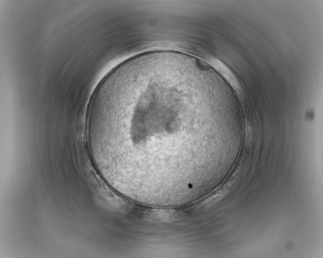 X0000093521052200710261215