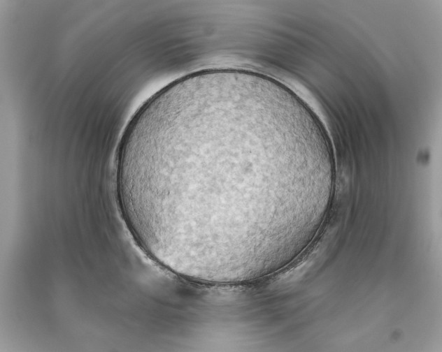 X0000093521053200710261215