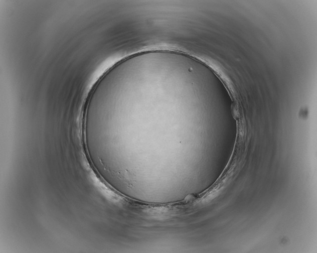 X0000093521054200710261215