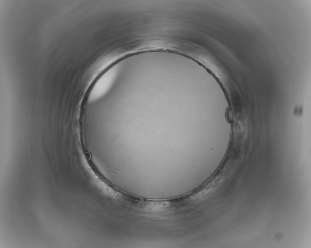 X0000093521055200710261215