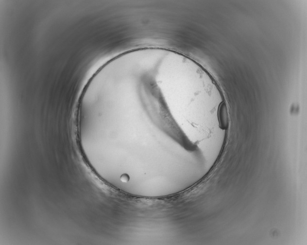 X0000093521056200710261215