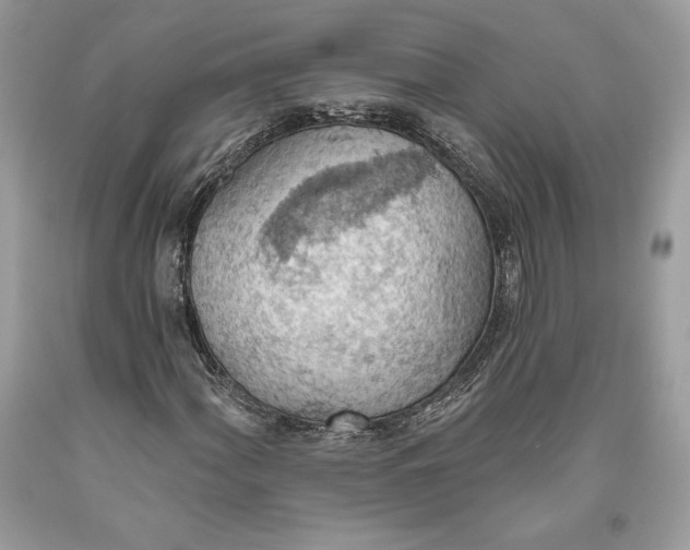 X0000093521060200710261214