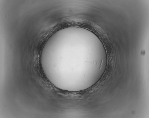 X0000093521061200710261214