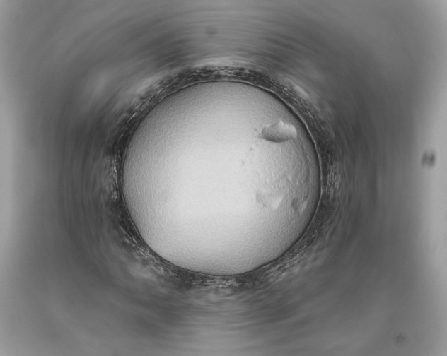 X0000093521062200710261214