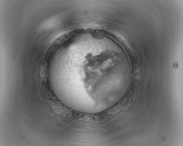 X0000093521063200710261214