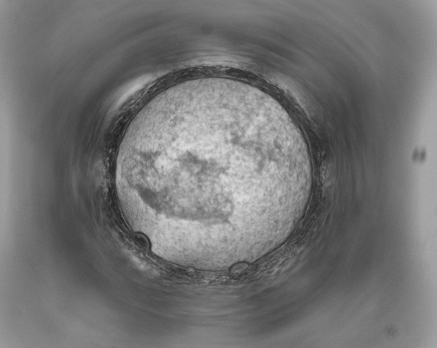 X0000093521064200710261214