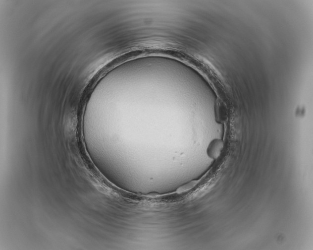 X0000093521065200710261214