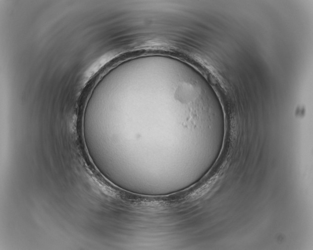 X0000093521066200710261214